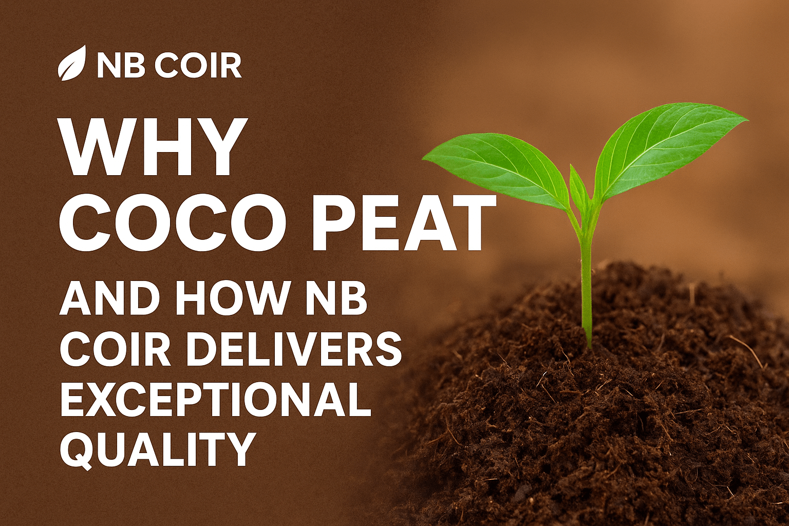 Why Coco Peat is the Grower’s Secret Weapon — and How NB Coir Delivers Exceptional Quality