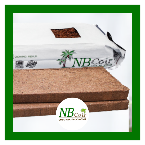 Coco coir grow bags for greenhouse cultivation