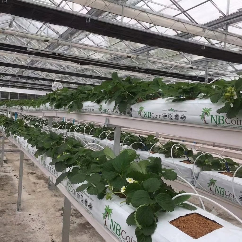 coco coir grow bags