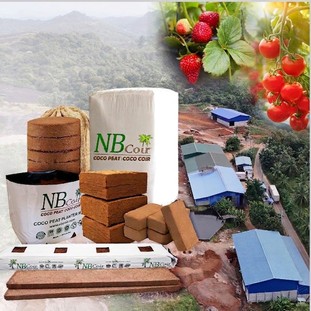 Coco Peat Manufacturer in Sri Lanka